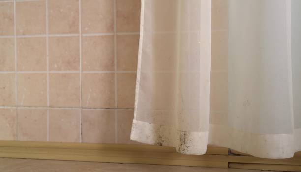 Reliable Crystal Lake, CT Mold Removal Solutions