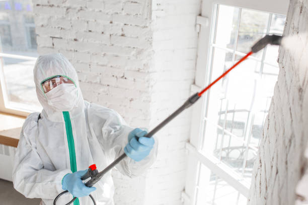 Best Mold Prevention Services  in Crystal Lake, CT